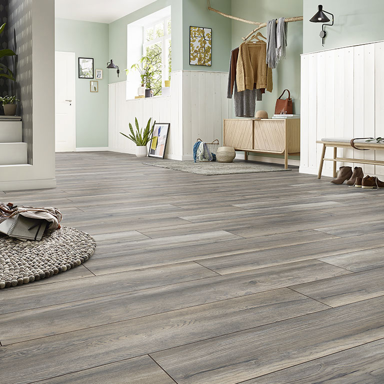 JANGAL Laminat, Laminatboden Bodenbelag 8mm National Park Line 8024 Honey Camp Oak JANGAL Laminat, Laminatboden Bodenbelag 8mm National Park Line 8024 Honey Camp Oak