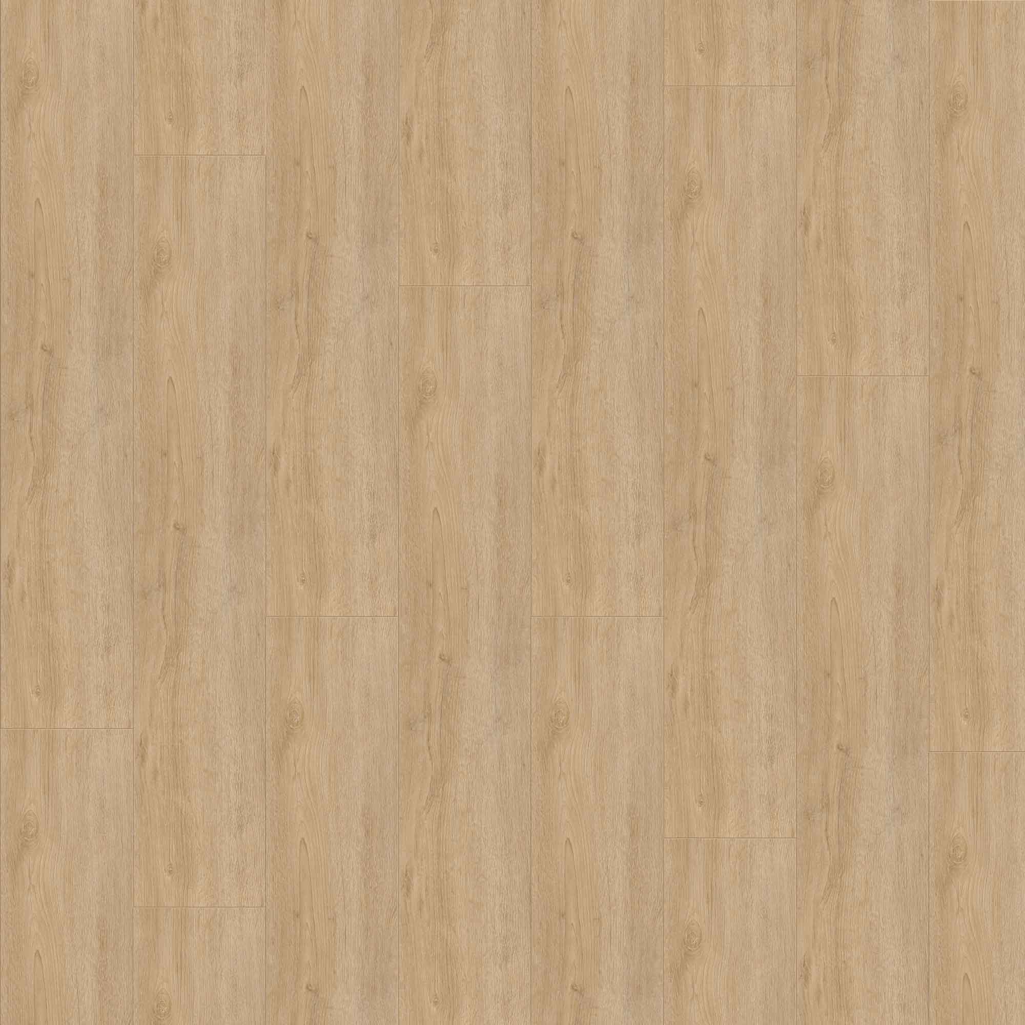 JANGAL Laminat, Laminatboden Bodenbelag 8mm National Park Line 8202 Sarek Oak JANGAL Laminat, Laminatboden Bodenbelag 8mm National Park Line 8202 Sarek Oak