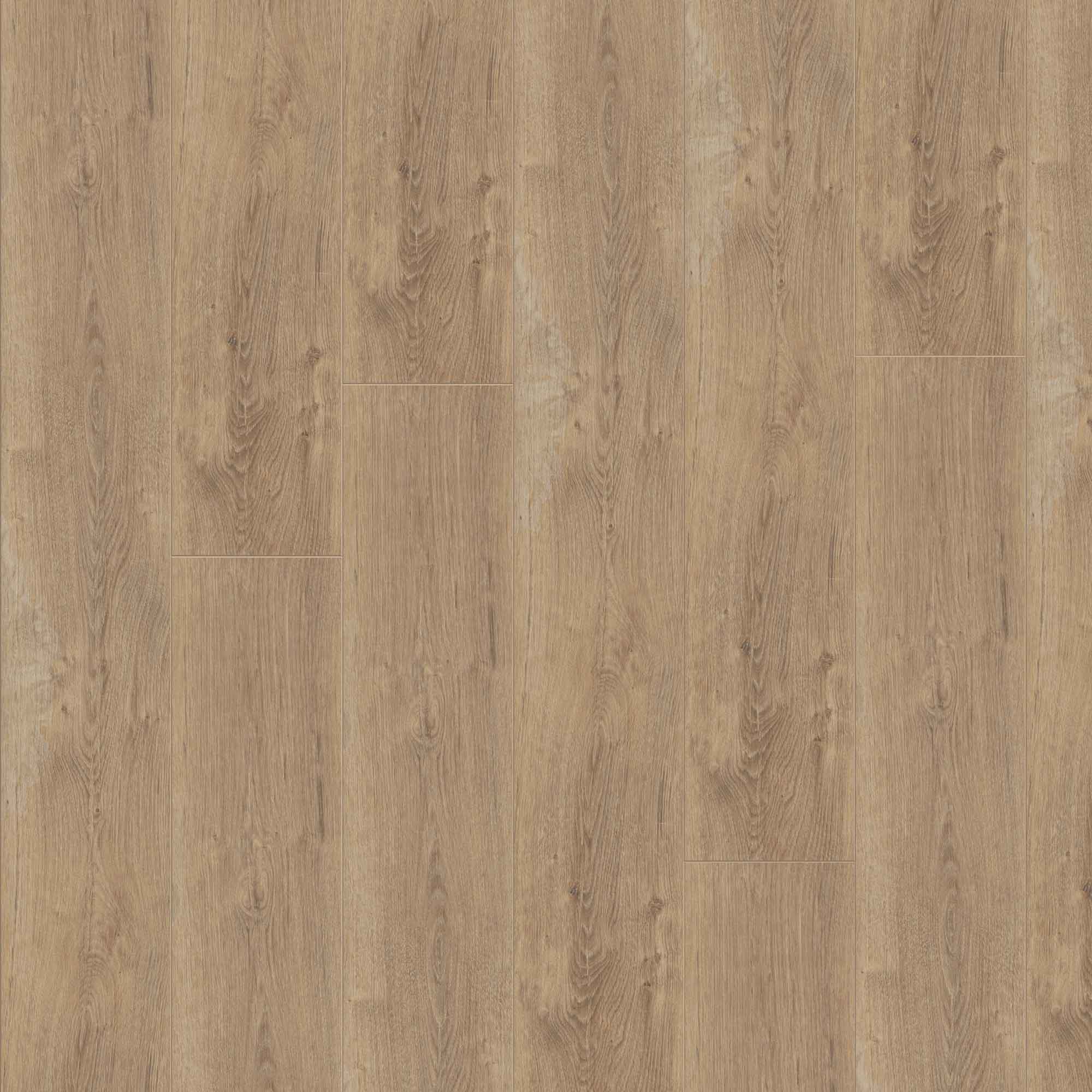 JANGAL Laminat, Laminatboden Bodenbelag 8mm National Park Line 8200 Gobi Oak JANGAL Laminat, Laminatboden Bodenbelag 8mm National Park Line 8200 Gobi Oak