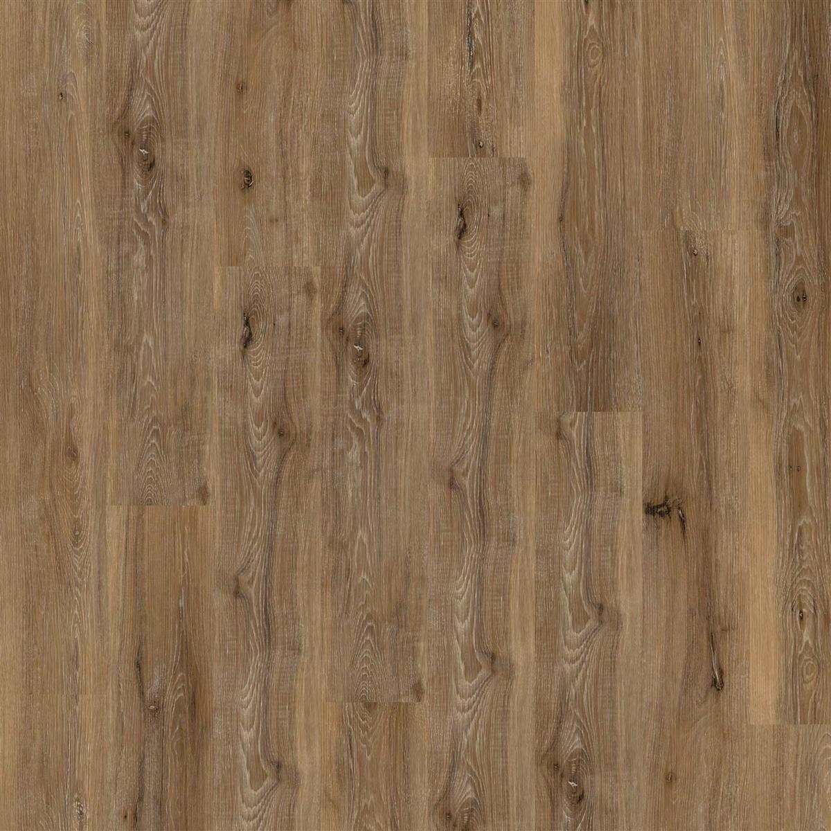 Klick-Vinyl inkl. Trittschall CHECK one Diele | 2431 BĂĽren Eiche Klick-Vinyl inkl. Trittschall CHECK one Diele | 2431 BĂĽren Eiche