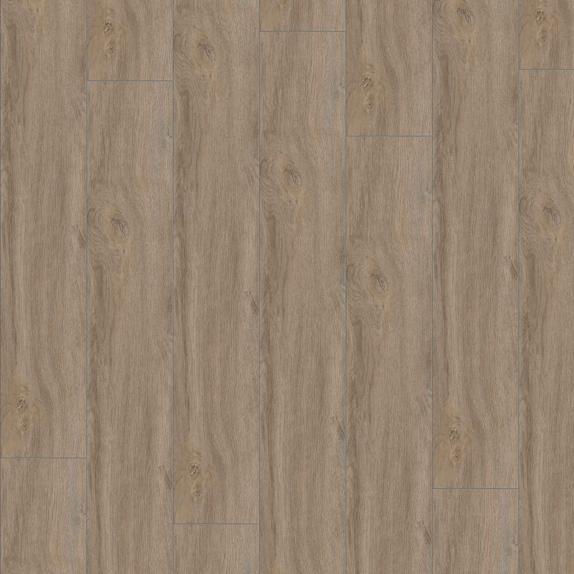 JANGAL Laminat, Laminatboden Bodenbelag 8mm National Park Line 8204 Redwood Oak JANGAL Laminat, Laminatboden Bodenbelag 8mm National Park Line 8204 Redwood Oak