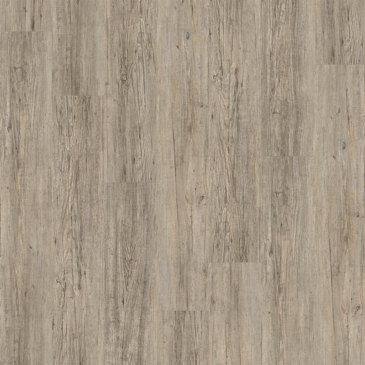 Klebevinyl JOKA Designböden 340 | 2834 Grey Pine Klebevinyl JOKA Designböden 340 | 2834 Grey Pine