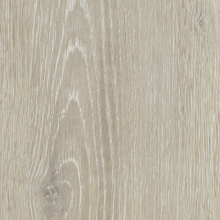 JANGAL Laminat, Laminatboden Bodenbelag 8mm National Park Line 8104 Zembra Oak JANGAL Laminat, Laminatboden Bodenbelag 8mm National Park Line 8104 Zembra Oak