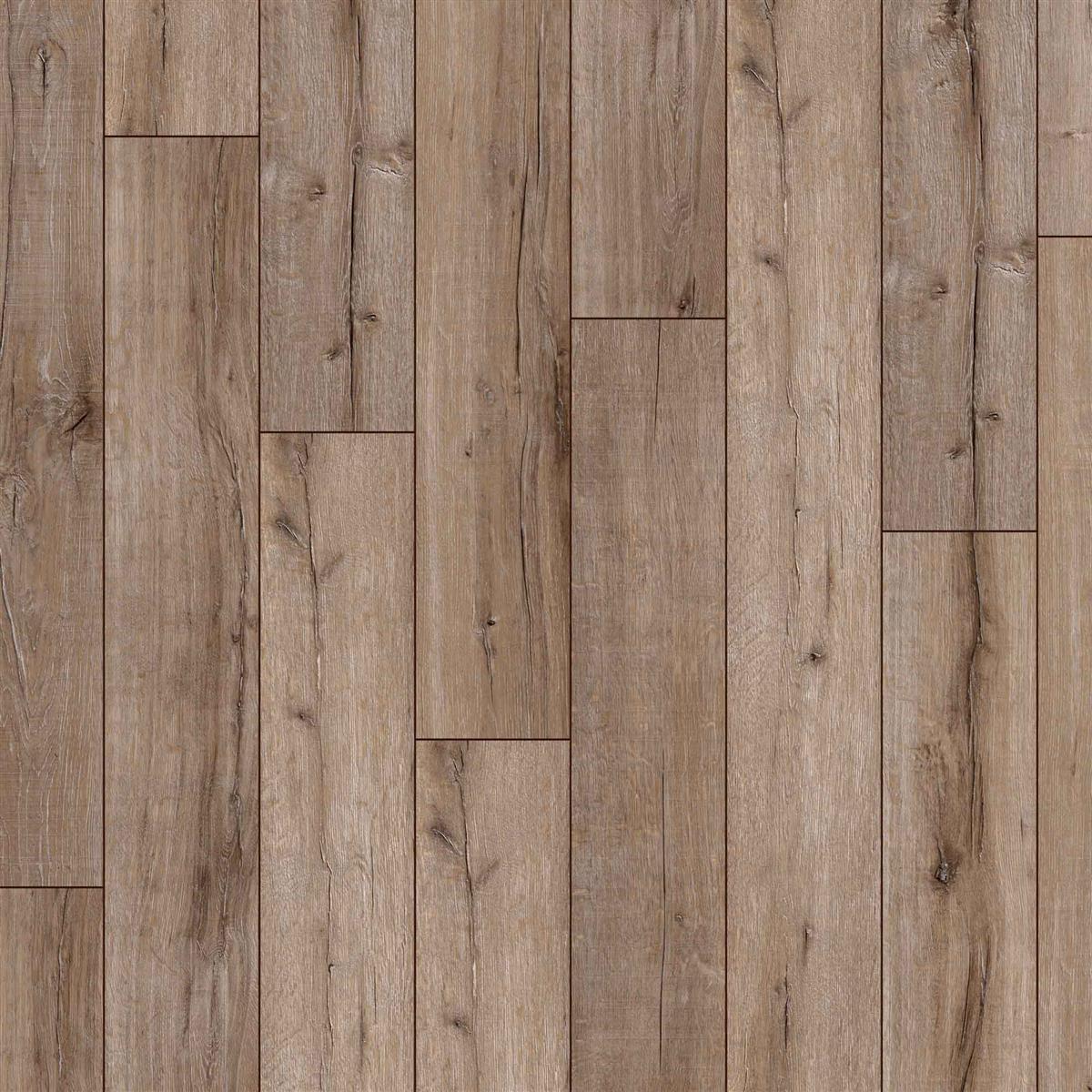 JANGAL Laminat, Laminatboden Bodenbelag 12mm State Park Line 3075 Chico Oak JANGAL Laminat, Laminatboden Bodenbelag 12mm State Park Line 3075 Chico Oak