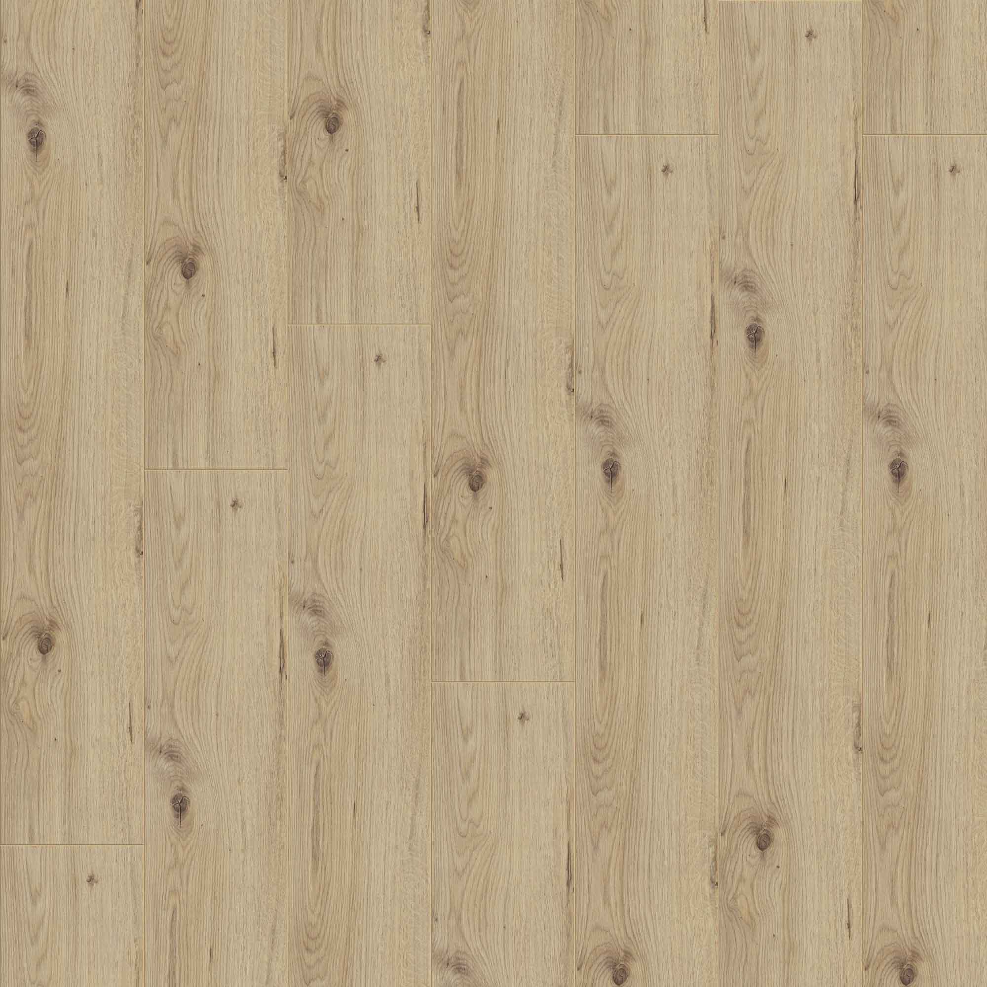 JANGAL Laminat, Laminatboden Bodenbelag 8mm National Park Line 8145 Bright Oak JANGAL Laminat, Laminatboden Bodenbelag 8mm National Park Line 8145 Bright Oak