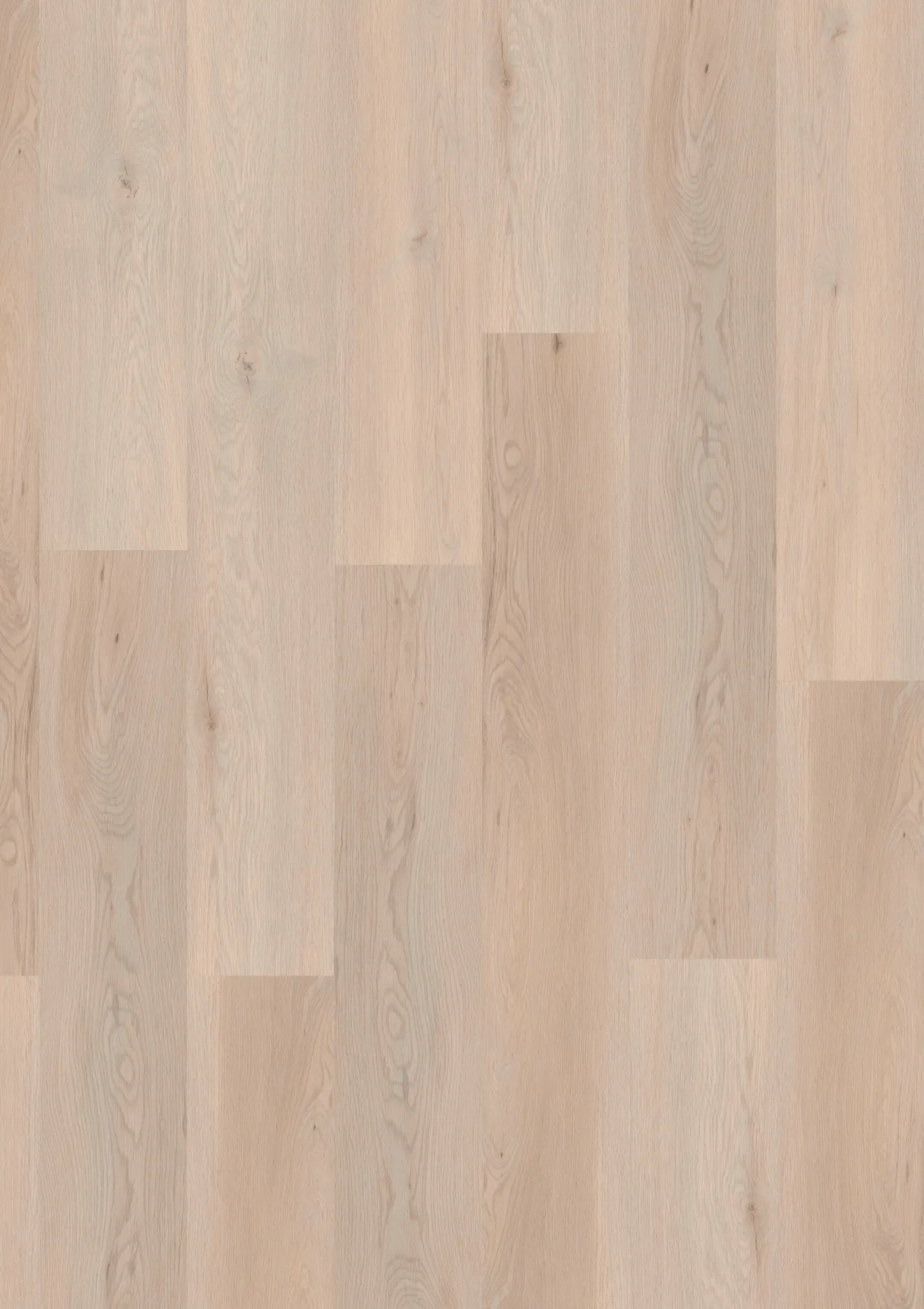 Klebevinyl JOKA Designböden 340 | 2874 Pearlized Oak Klebevinyl JOKA Designböden 340 | 2874 Pearlized Oak