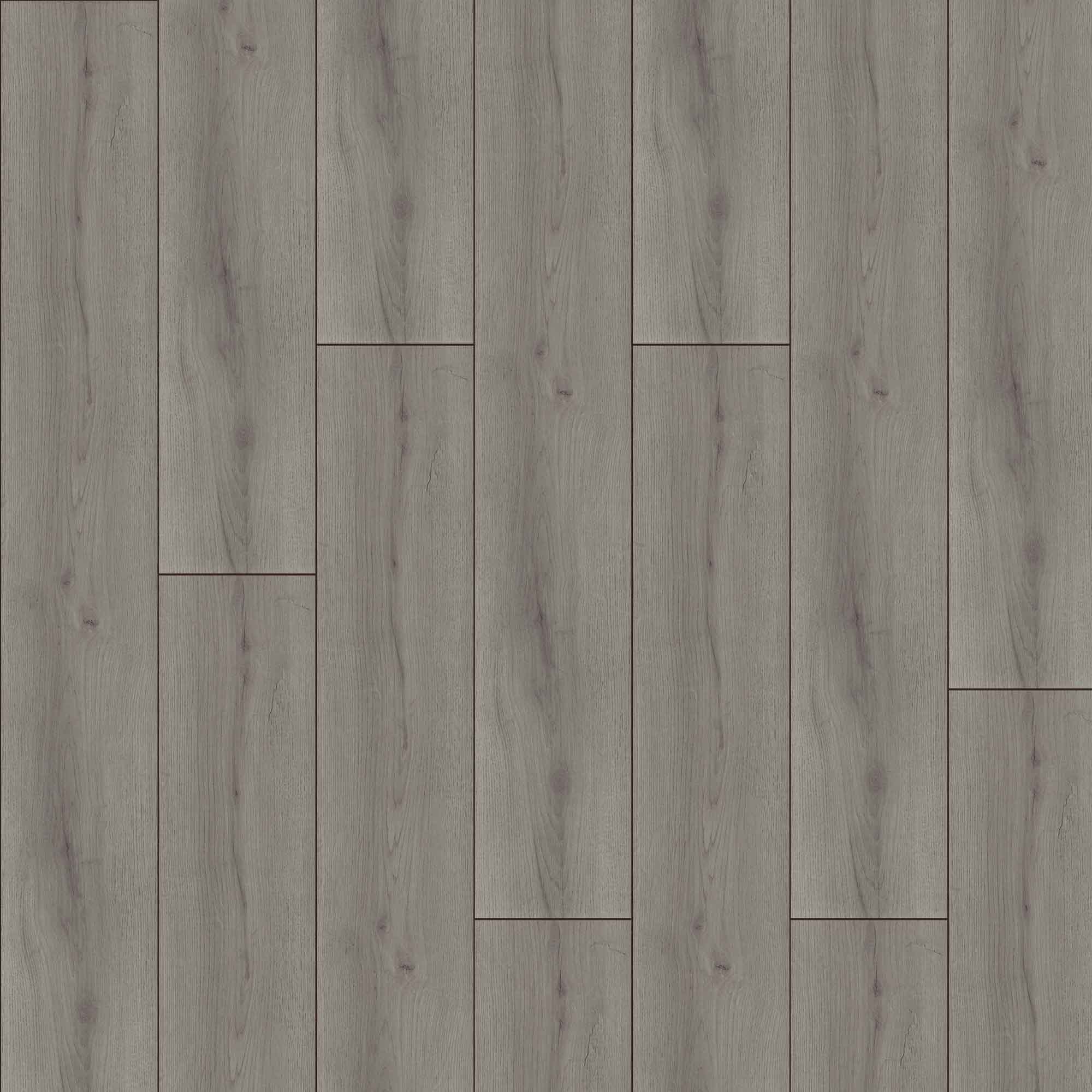 JANGAL Laminat, Laminatboden Bodenbelag 8mm National Park Line 8054 Grey Oak JANGAL Laminat, Laminatboden Bodenbelag 8mm National Park Line 8054 Grey Oak