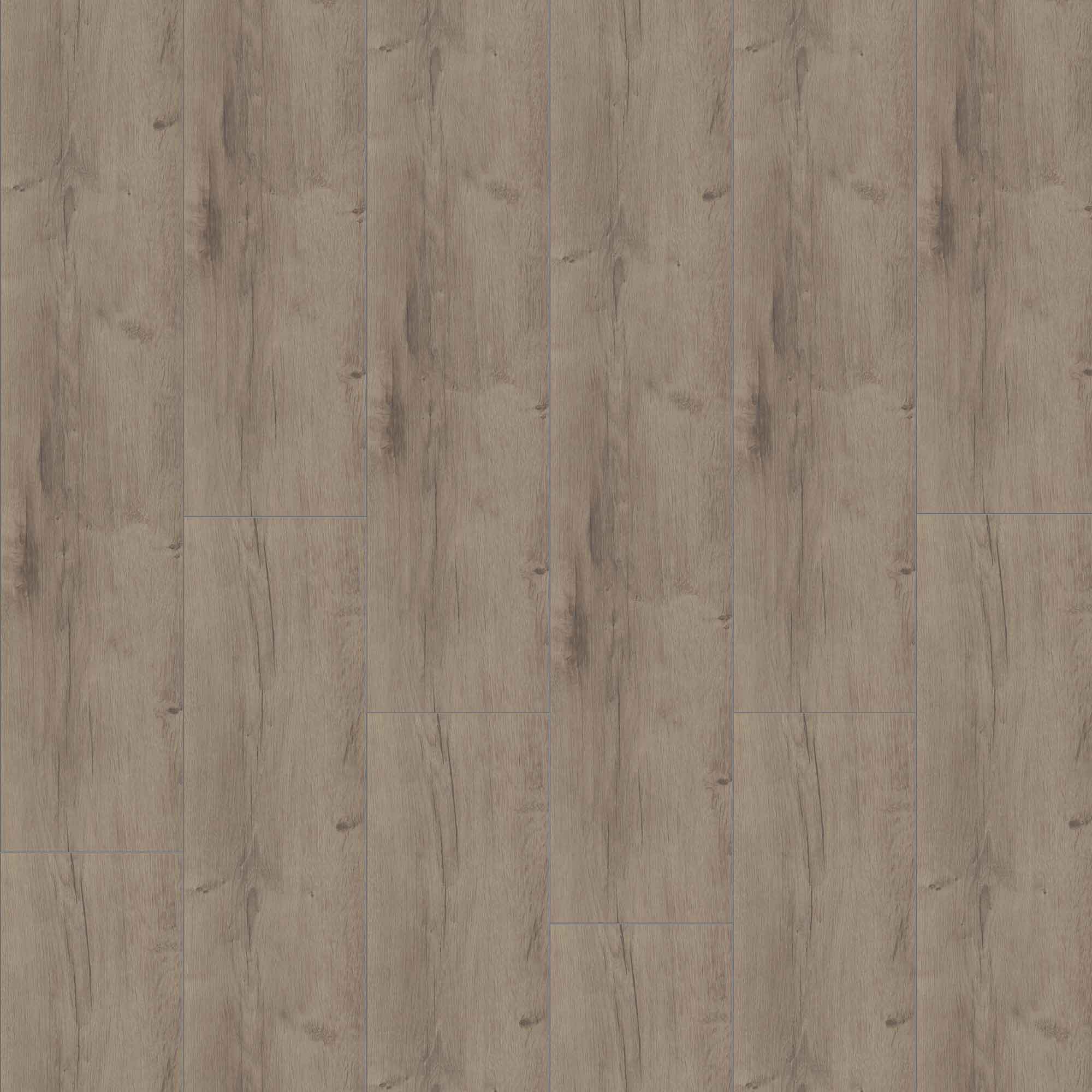 JANGAL Laminat, Laminatboden Bodenbelag 8mm National Park Line 8201 Zion Oak JANGAL Laminat, Laminatboden Bodenbelag 8mm National Park Line 8201 Zion Oak