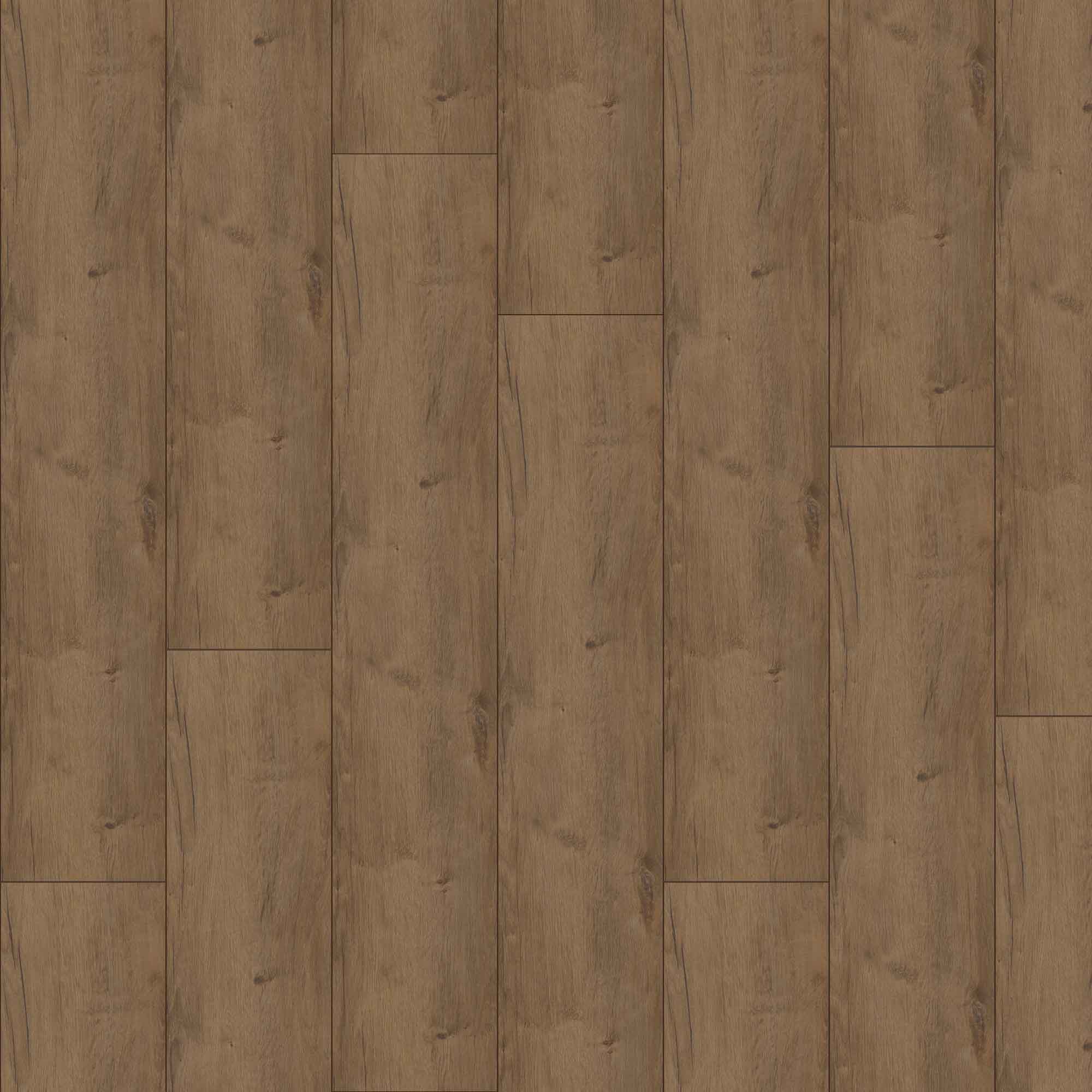 JANGAL Laminat, Laminatboden Bodenbelag 8mm National Park Line 8203 Muddus Oak JANGAL Laminat, Laminatboden Bodenbelag 8mm National Park Line 8203 Muddus Oak